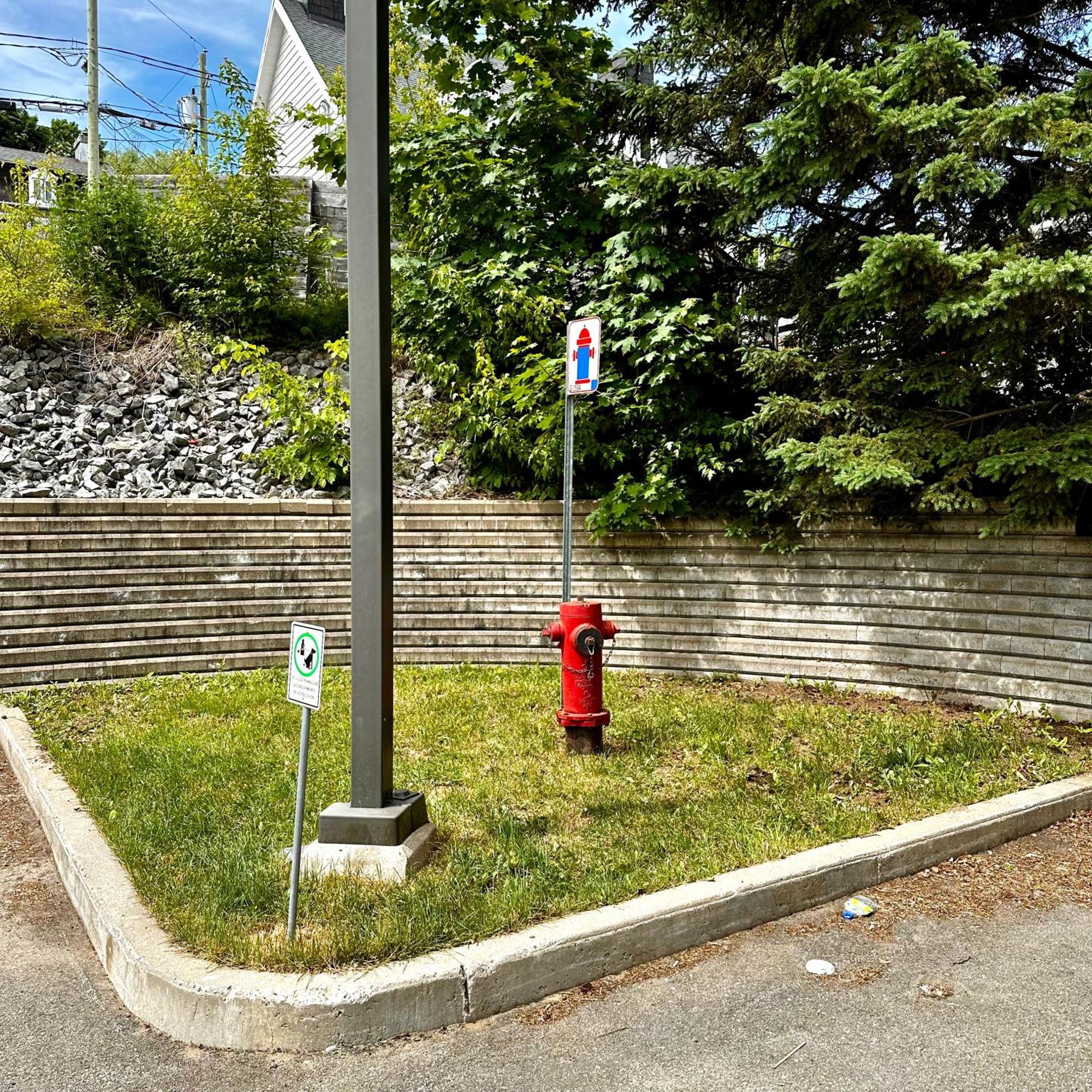 Initial - Explorateur - Chutes-Montmorency Boischatel Bagian luar foto